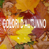COLORI D'AUTUNNO